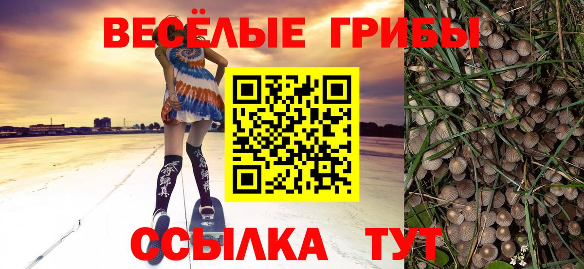 Псилоцибиновые грибы ЛСД  Вход с VPN  Йошкар-Ола 